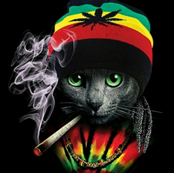 Brand New "Rasta Cat" Tee. Beautiful print - Picture 3 of 8